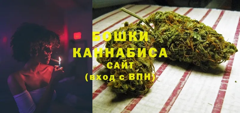 дарнет шоп  Алейск  Шишки марихуана OG Kush 